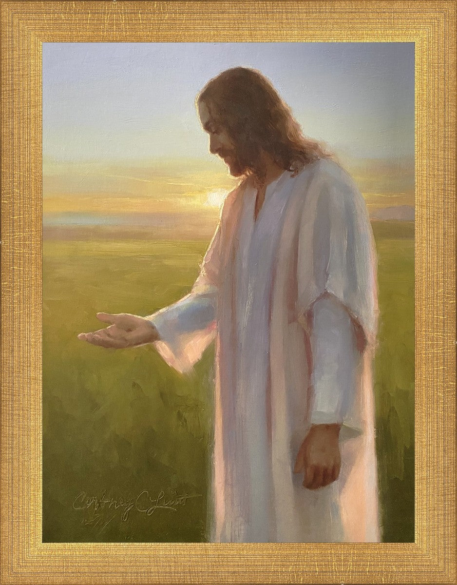 Light of The Son