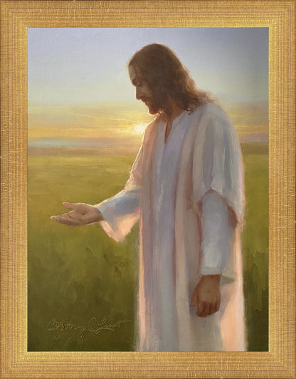 Light of The Son