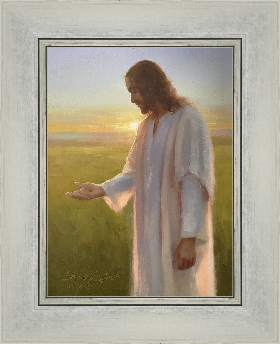Light of The Son