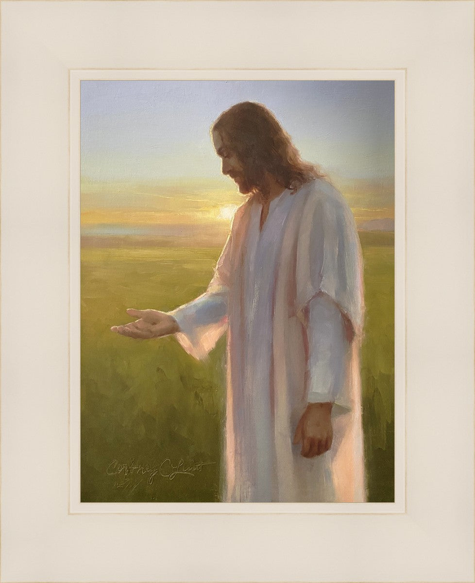Light of The Son