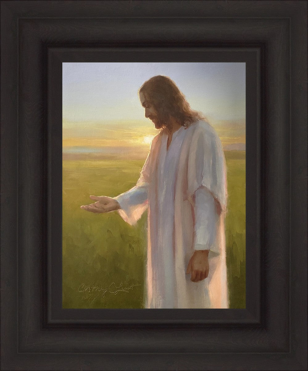 Light of The Son