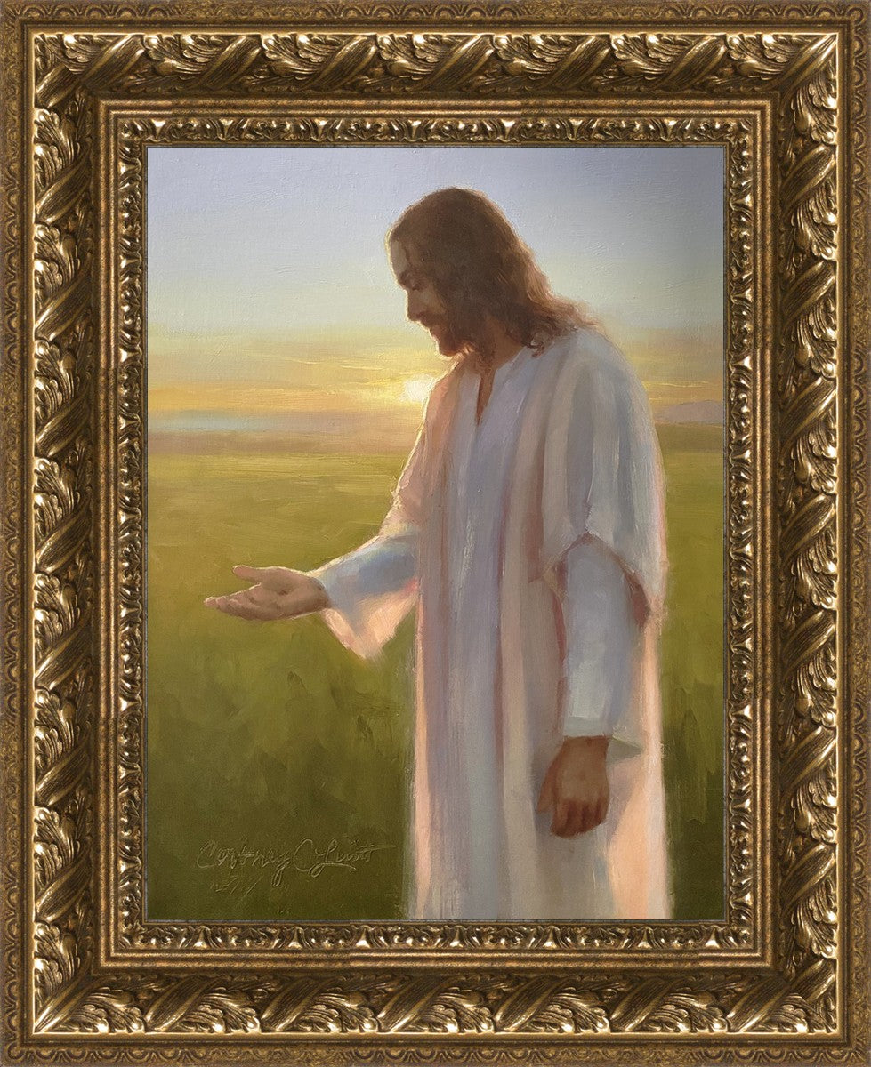 Light of The Son