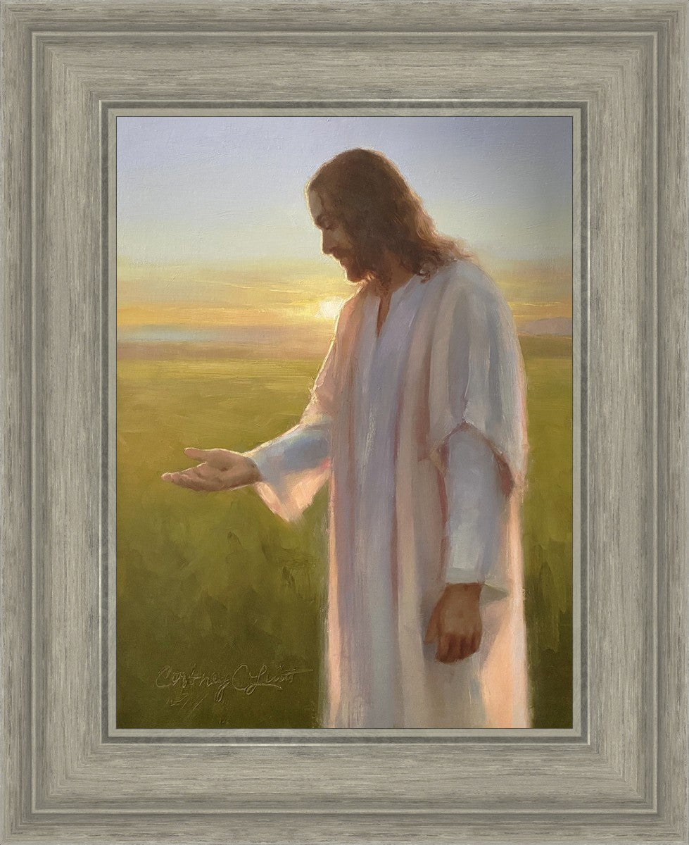 Light of The Son