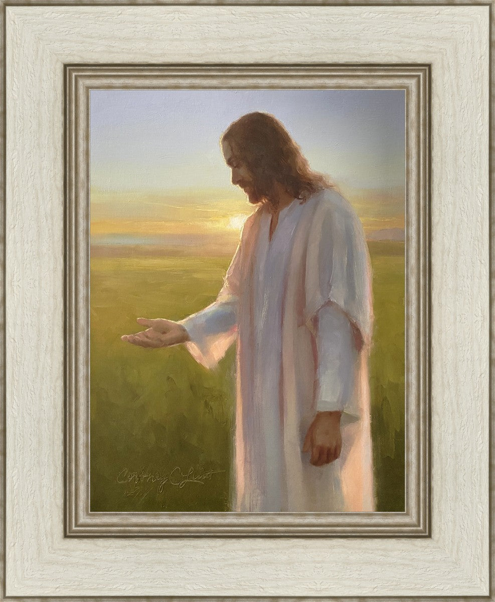 Light of The Son