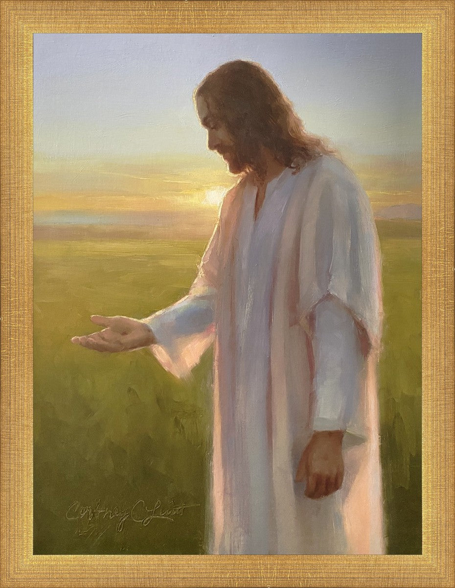 Light of The Son