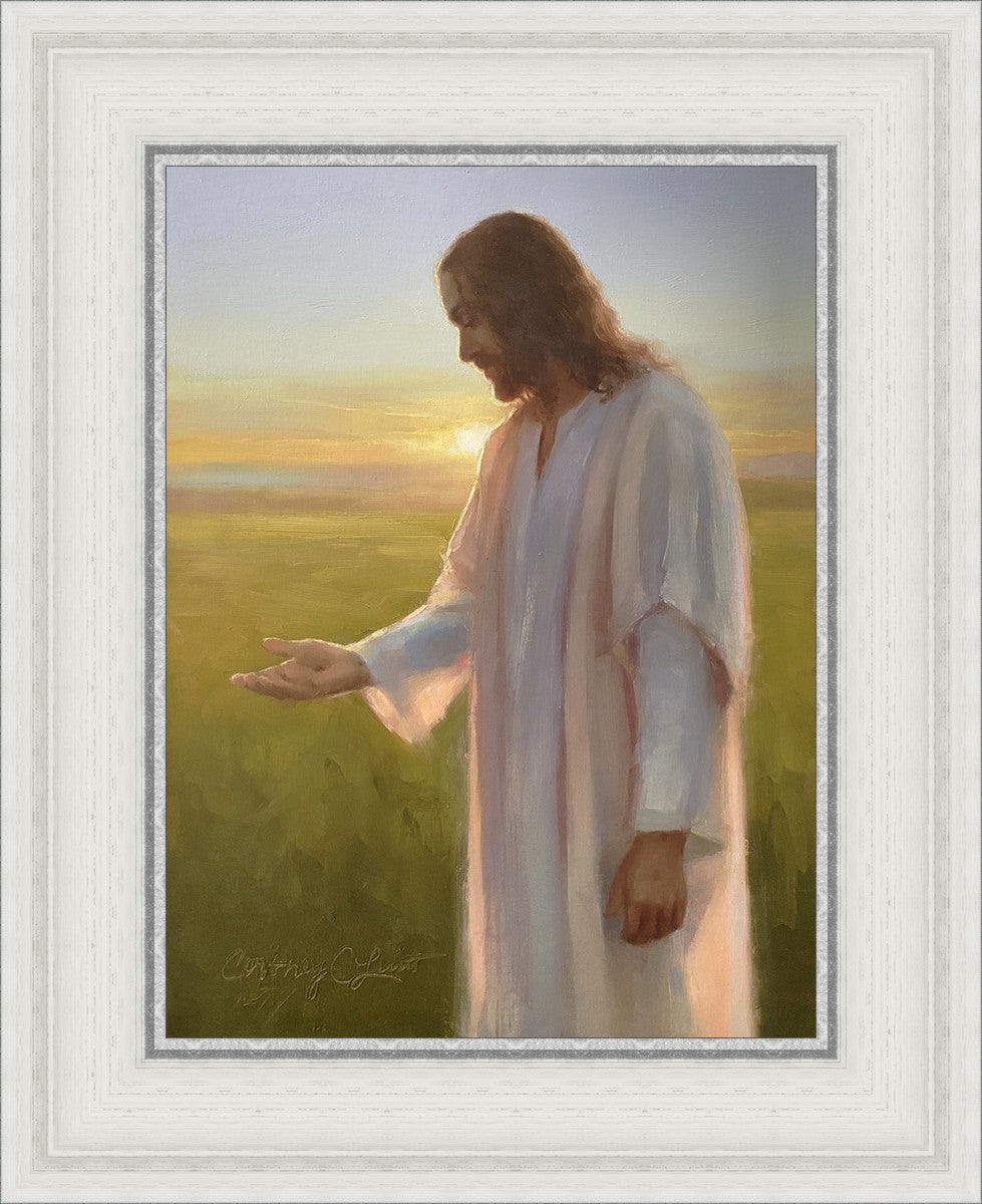 Light of The Son