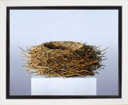 Nest Gallery Wrap