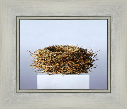 Nest