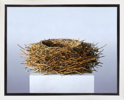 Nest Gallery Wrap