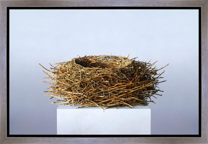 Nest Gallery Wrap