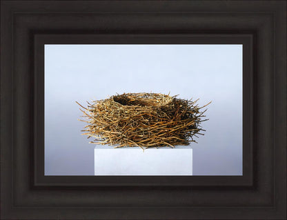 Nest