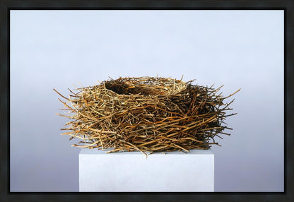 Nest Gallery Wrap