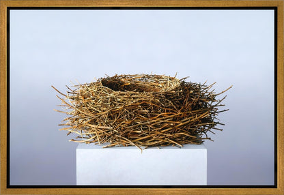 Nest Gallery Wrap