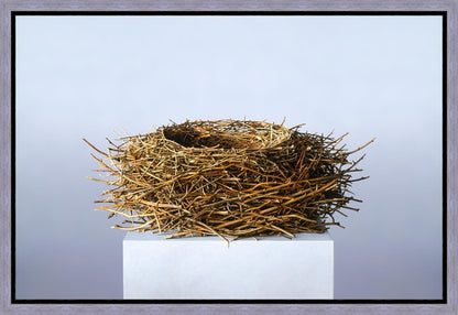 Nest