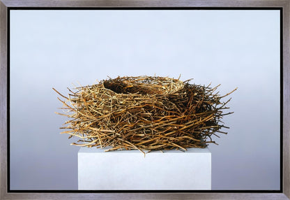 Nest Gallery Wrap