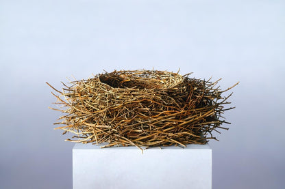 Nest Gallery Wrap