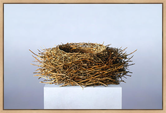 Nest