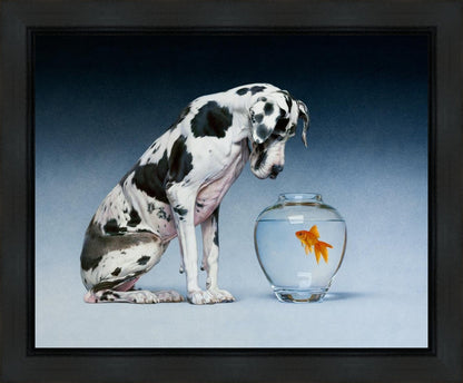 Dane and Fish Gallery Wrap