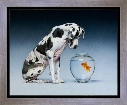 Dane and Fish Gallery Wrap