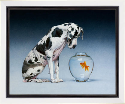 Dane and Fish Gallery Wrap