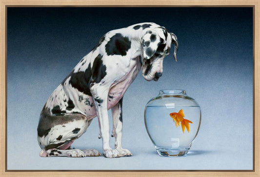 Dane and Fish