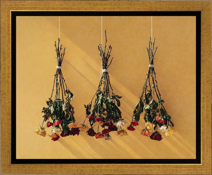 Autumn Roses