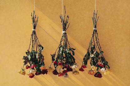 Autumn Roses Gallery Wrap