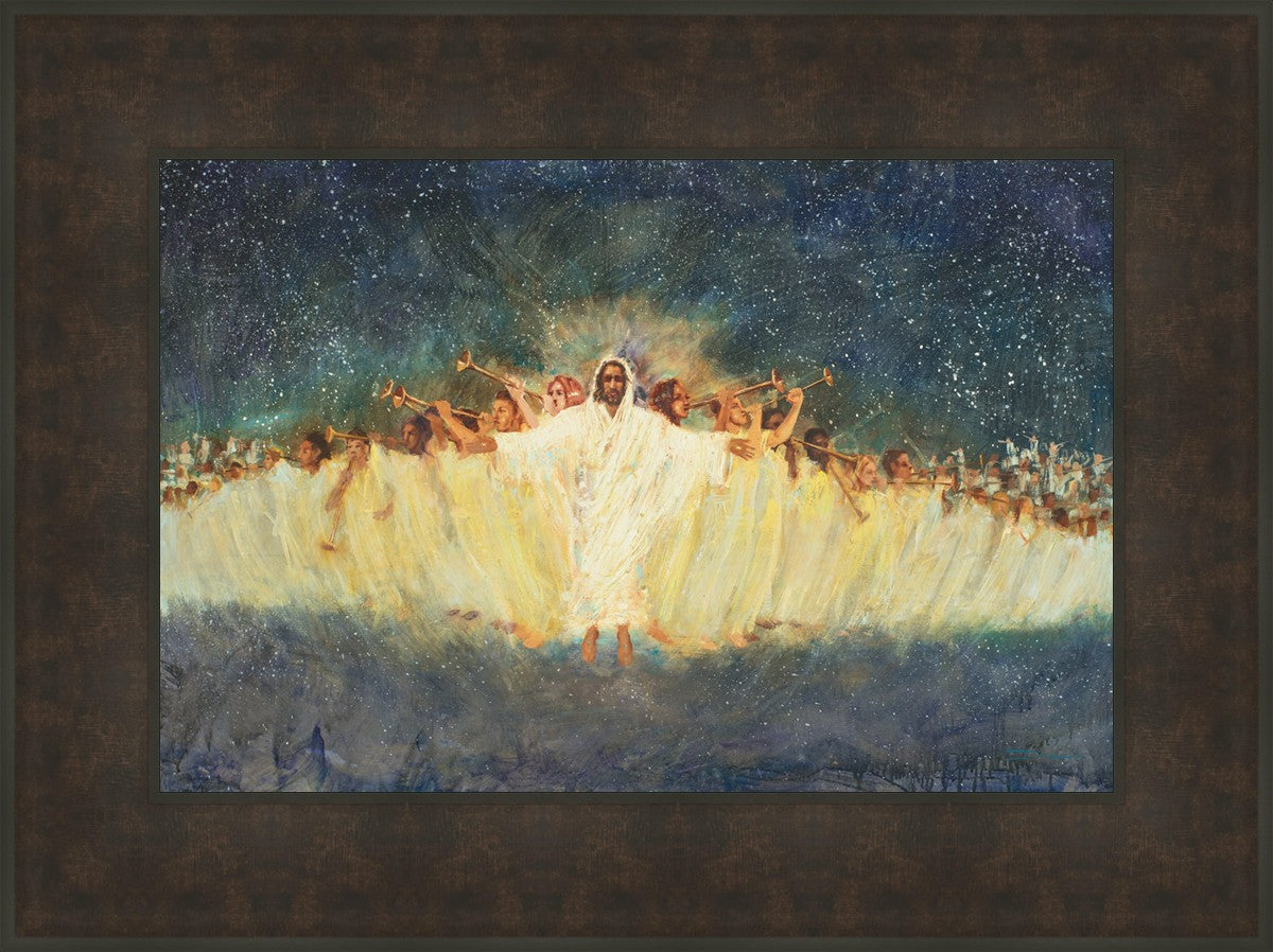 DL1029748FBRNZ.jpg?v=