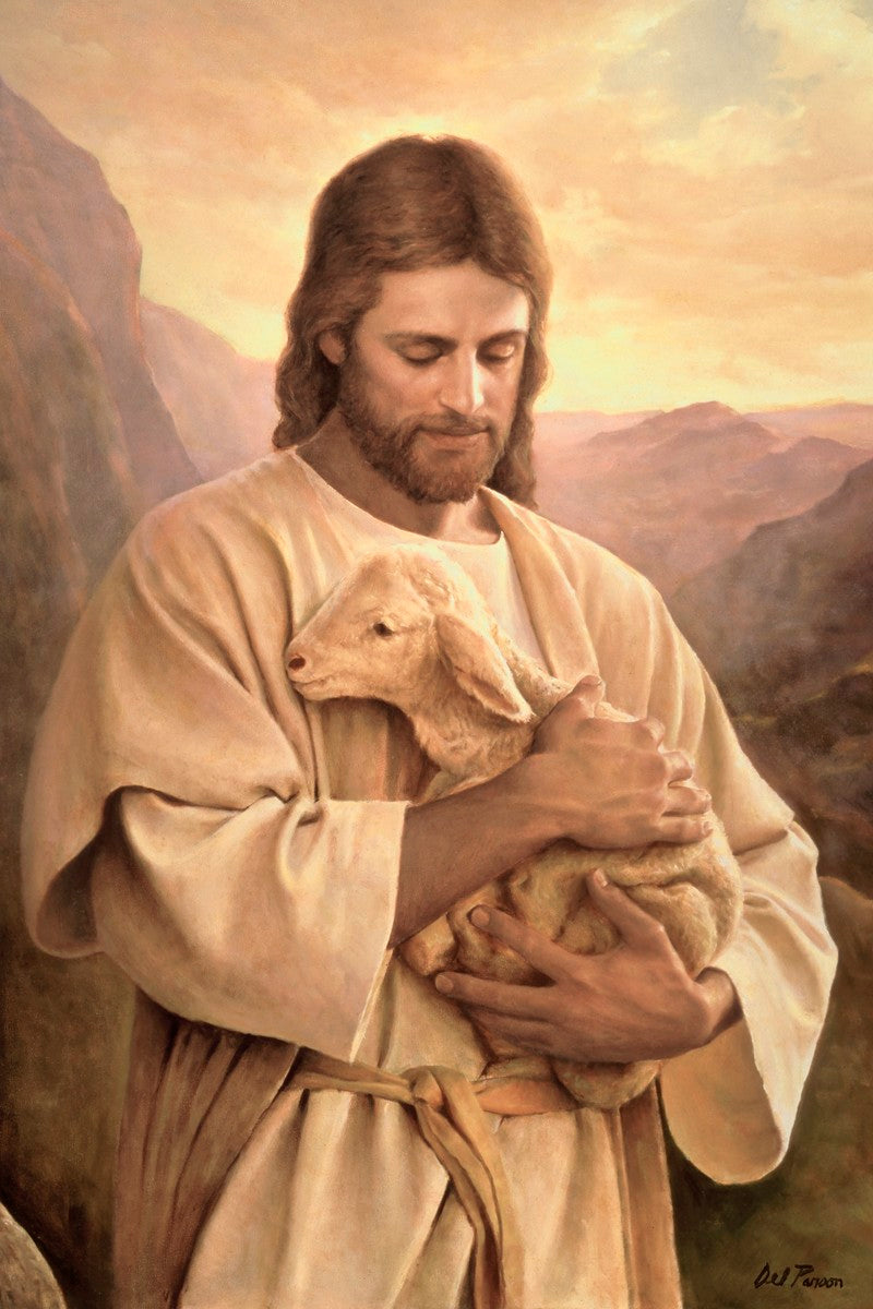 Lost Lamb