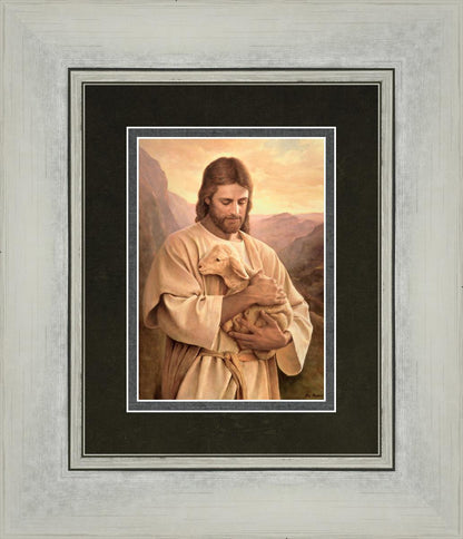 Lost Lamb