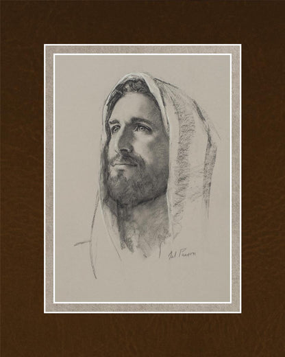 Lamb of God