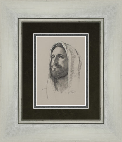 Lamb of God