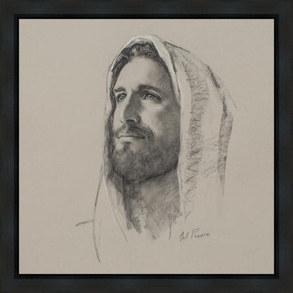 Lamb of God