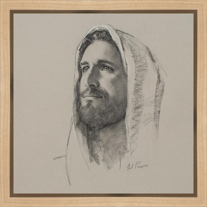 Lamb of God