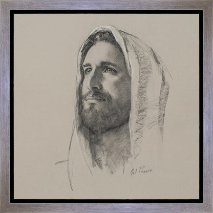 Lamb of God