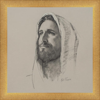 Lamb of God