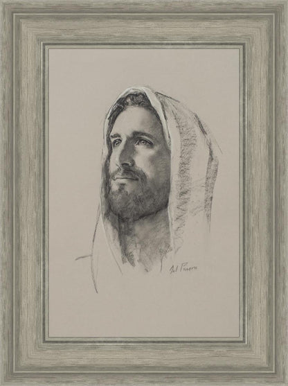 Lamb of God