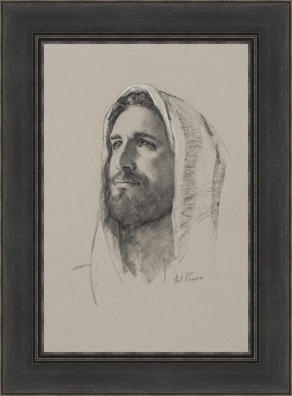 Lamb of God
