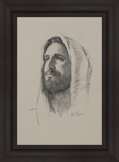 Lamb of God