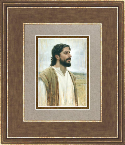 Clarity In His Mission