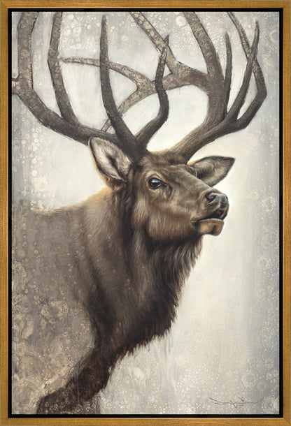 Nature's Allure