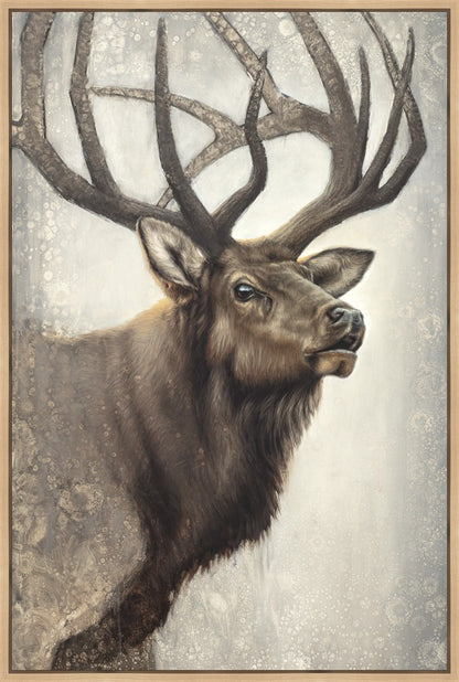 Nature's Allure