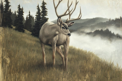 Nature's Silence Gallery Wrap