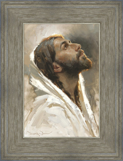 Beloved Son