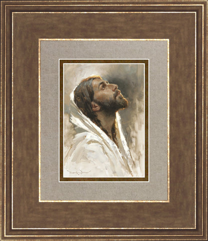 Beloved Son