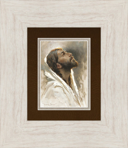 Beloved Son