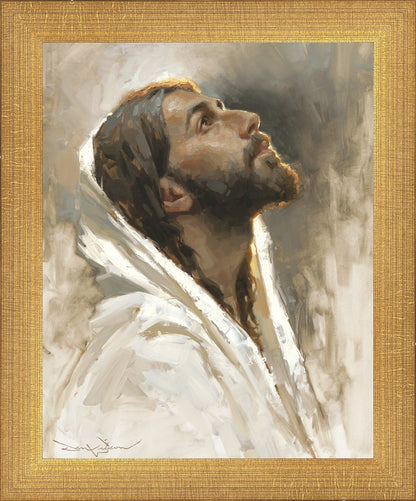 Beloved Son