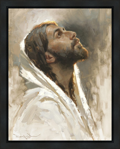 Beloved Son