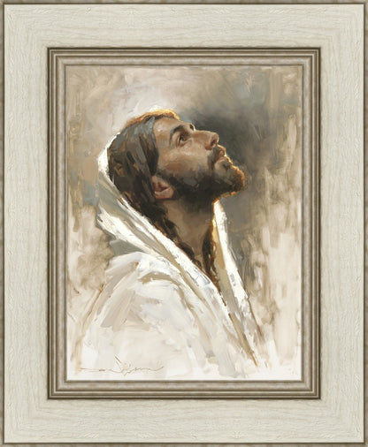 Beloved Son