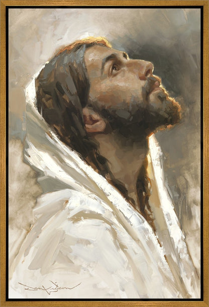 Beloved Son